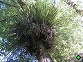 thn_NZ leden-unor 2006 280.jpg